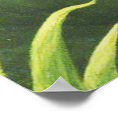 Rousseau Jungle Tropical Lion Art Printwerbung Poster (Ecke)