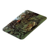 Rousseaus Hungry Lion Magnet (Linke Seite)