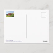 ROUSSILLON, FRANKREICH POSTKARTE (Rückseite)