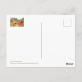 Roussillon, Provence, Ocker und Rose farbene Klipp Postkarte (Rückseite)