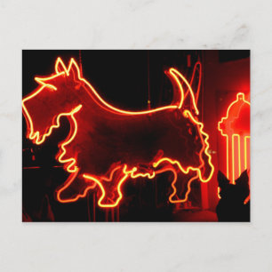 Route 66 Neon-Schild Postkarte
