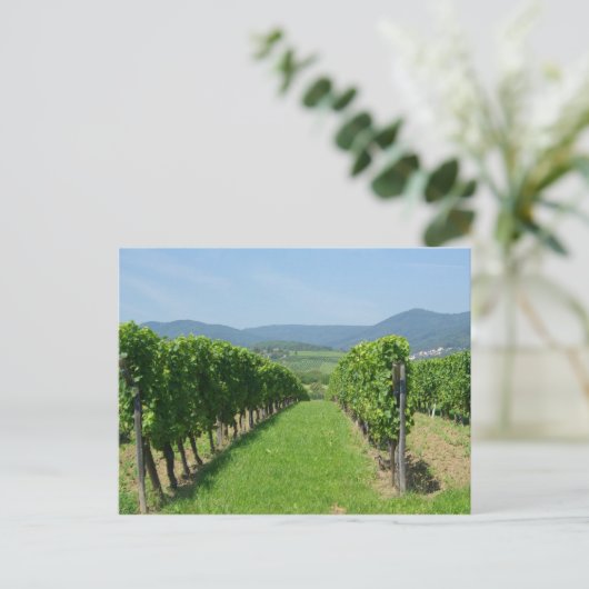 Route de Vins d'Alsace Postkarte (Stehend Vorderseite)