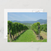 Route de Vins d'Alsace Postkarte (Vorne/Hinten)