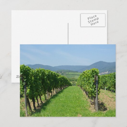 Route de Vins d'Alsace Postkarte (Vorne/Hinten)