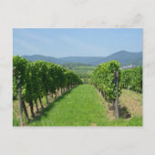 Route de Vins d'Alsace Postkarte (Vorderseite)