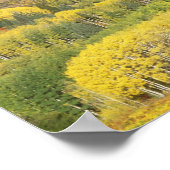 Routinewald im Herbst, in der Nähe Poster (Ecke)