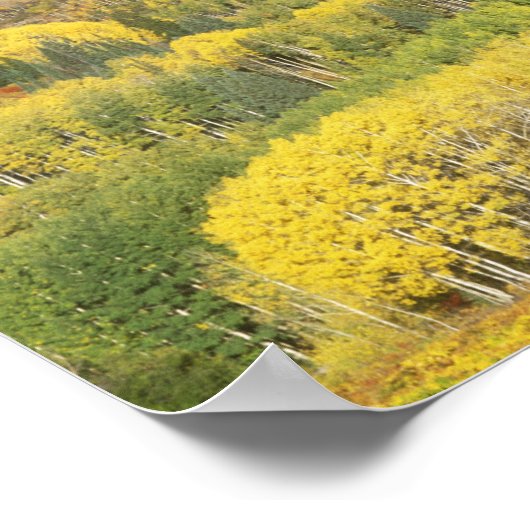 Routinewald im Herbst, in der Nähe Poster (Ecke)