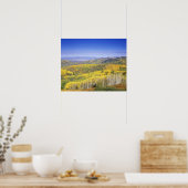 Routinewald im Herbst, in der Nähe Poster (Küche)