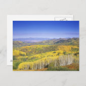 Routinewald im Herbst, in der Nähe Postkarte (Vorne/Hinten)