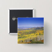 Routinewald in Herbstfarbe, nahe Button (Vorne & Hinten)