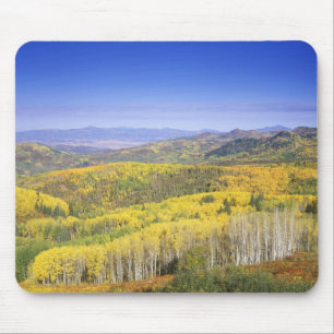 Routinewald in Herbstfarbe, nahe Mousepad