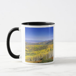 Routinewald in Herbstfarbe, nahe Tasse