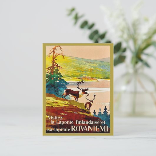 Rovaniemi, Finnland, Rentiere an der Küste Postkarte (Stehend Vorderseite)