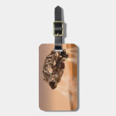 Rover & Descent-Bühne für das Wissenschaftslabor f Gepäckanhänger (Vorderseite vertikal)