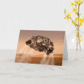 Rover & Descent-Bühne für das Wissenschaftslabor f Karte (Gelbe Blume)