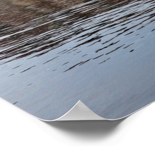 Rovinj Shore Line Poster (Ecke)