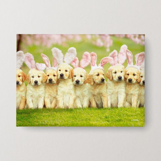 Row of Puppy Bunnies Button (Vorderseite)