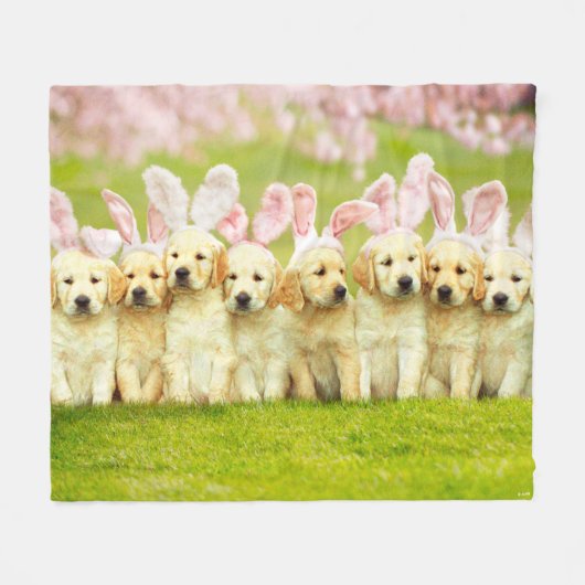 Row of Puppy Bunnies Fleecedecke (Vorderseite (Horizontal))