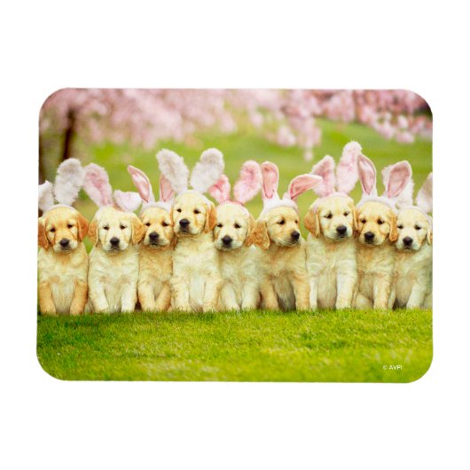 Row of Puppy Bunnies Magnet (Horizontal)