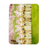 Row of Puppy Bunnies Magnet (Vertikal)