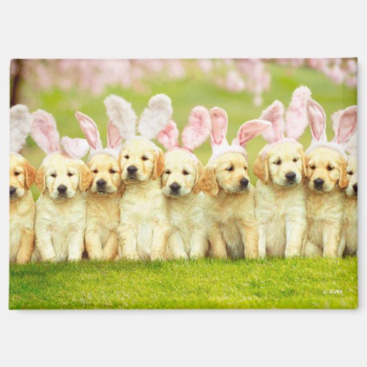 Row of Puppy Bunnies Magnet (Vorderseite)