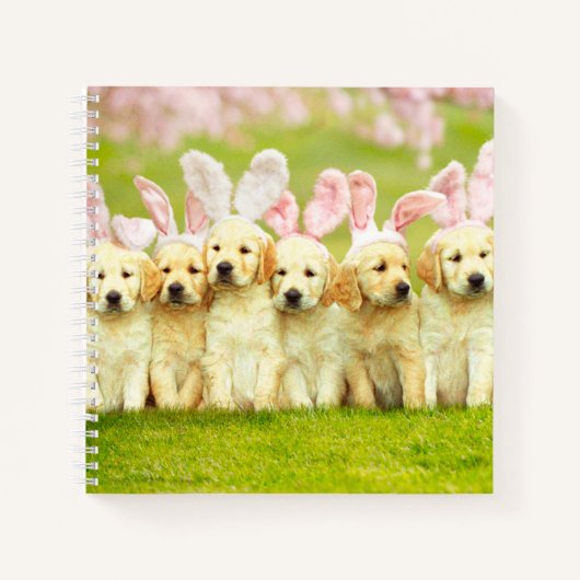 Row of Puppy Bunnies Notizblock (Vorderseite)