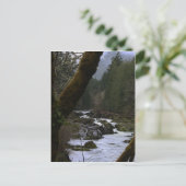 Row River Rapids Postkarte (Stehend Vorderseite)