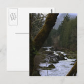 Row River Rapids Postkarte (Vorne/Hinten)