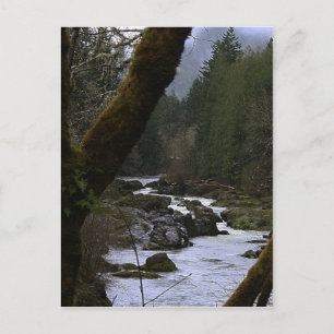 Row River Rapids Postkarte