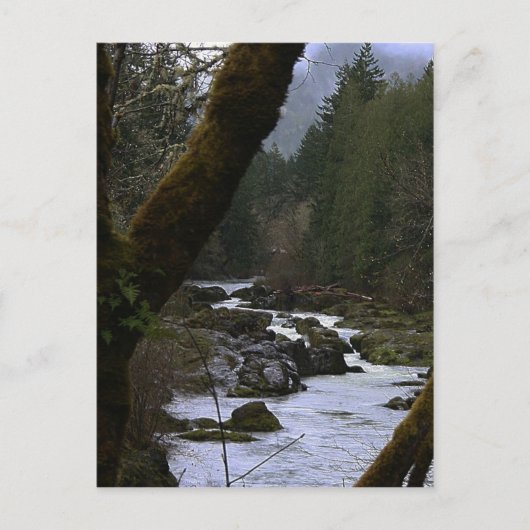 Row River Rapids Postkarte (Vorderseite)