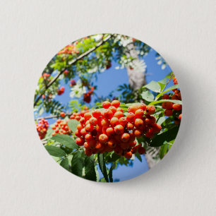 Rowan Button