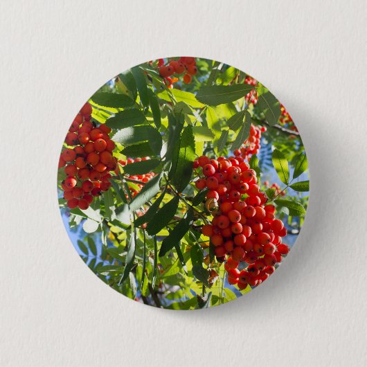 Rowan Button (Vorderseite)