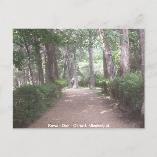 Rowan Oak Postkarte (Vorderseite)
