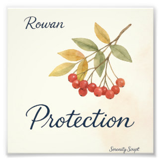 Rowan — Protection | Serenity Script Collection Fotodruck