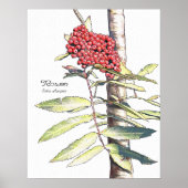 Rowan-Studie Poster (Vorne)