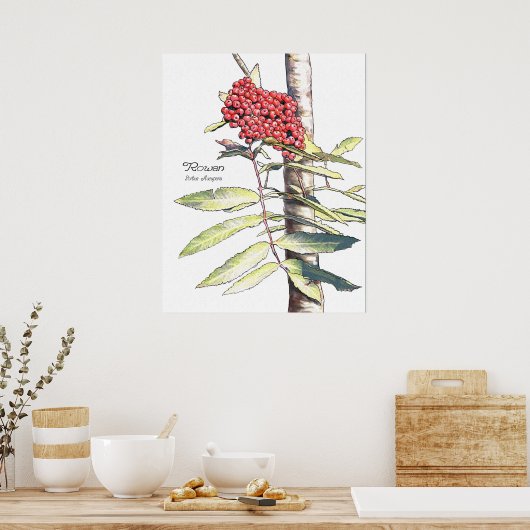 Rowan-Studie Poster (Küche)