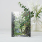 Rowan Tree Tilberthwaite Quarry Card Postkarte (Stehend Vorderseite)