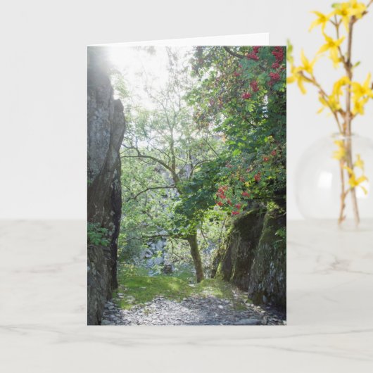 Rowan Tree Tilberthwaite Quarry Karte (Gelbe Blume)