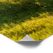 Rowboat Am See verankert Poster (Ecke)