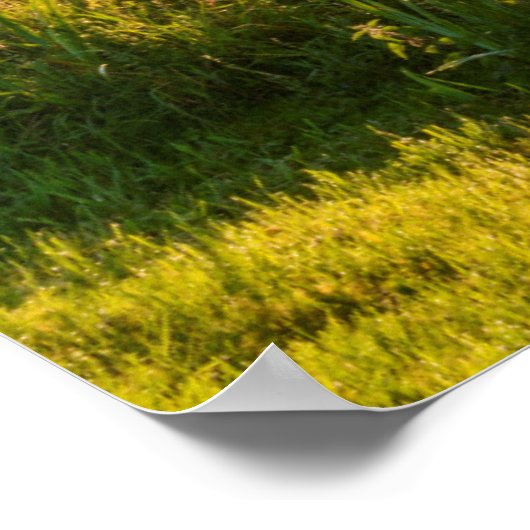 Rowboat Am See verankert Poster (Ecke)