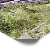 Rowboat Poster (Ecke)