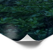 Rowboat Poster (Ecke)