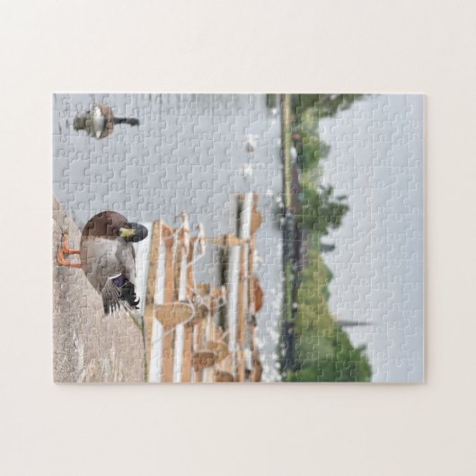 Rowboats and Duck, Stratford Upon Avon, England Puzzle (Horizontal)