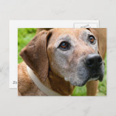 Rowdy Postkarte (Vorne/Hinten)