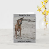 Rowdy, Rawhide Rowdy, Langlais Zoo Karte (Gelbe Blume)