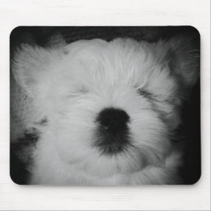 Rowdy the Maltipoo Puppy Mousepad
