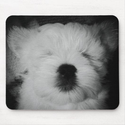 Rowdy the Maltipoo Puppy Mousepad (Vorne)