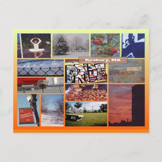 Roxbury, Massachusetts Foto Collage 9958 Postkarte (Vorderseite)