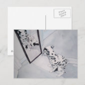 Roxie der Dalmatiner Postkarte (Vorne/Hinten)