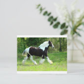 Roxie Postkarte (Stehend Vorderseite)